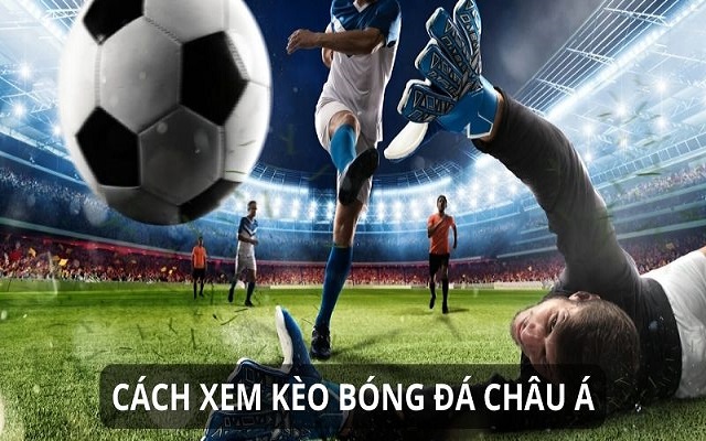 Falcon Đỗ chia sẻ cách đọc kèo bóng đá online hiệu quả